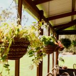 WORM CASTING HANGING BASKET