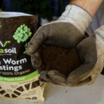 Verasoil Organic Worm Castings